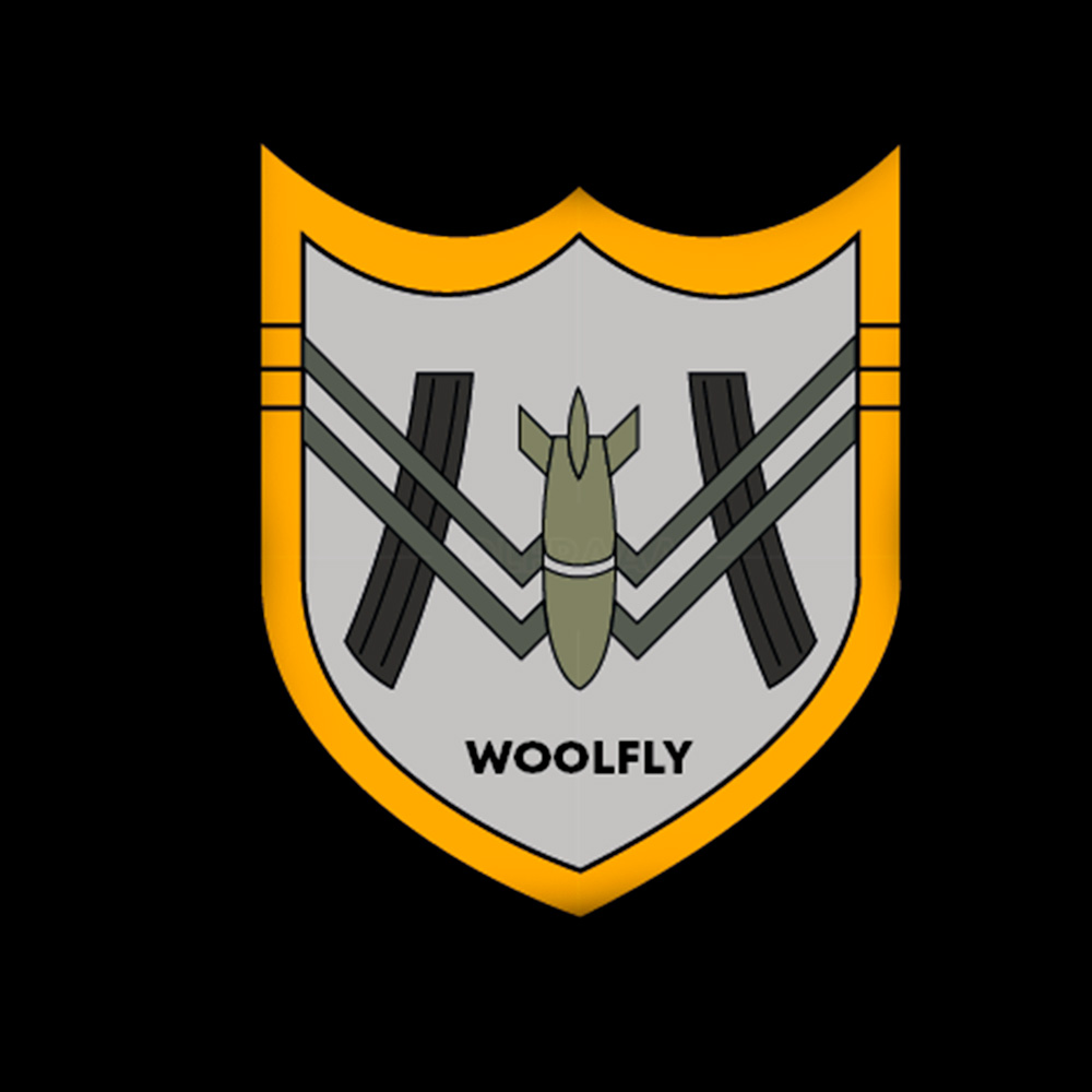 Identité visuelle Wollfly